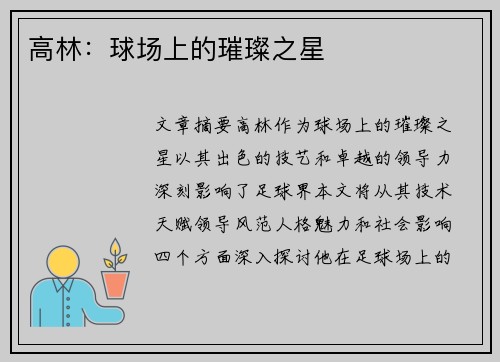 高林：球场上的璀璨之星